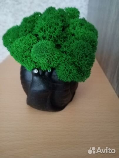 Ручная работы из стабилизированного мха