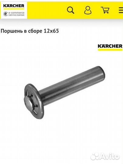 4.553-173.0 Поршень в сборе 12х65 Karcher