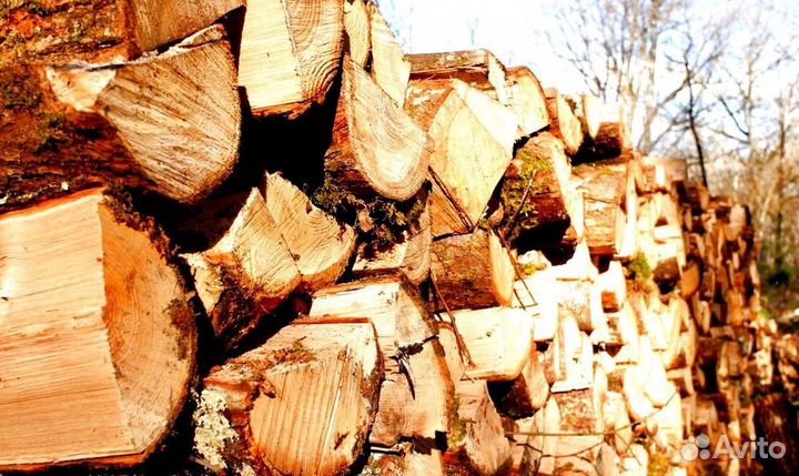 Дрова с привозом сразу