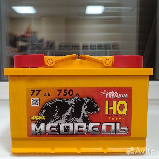 77 медведь HQ