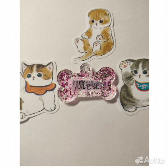 Адресники для собак и кошек