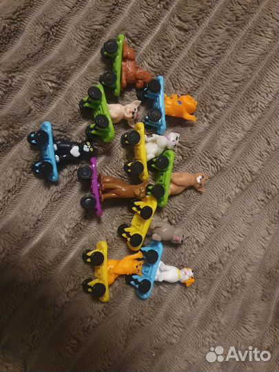 Скейтеры из акции Ленты