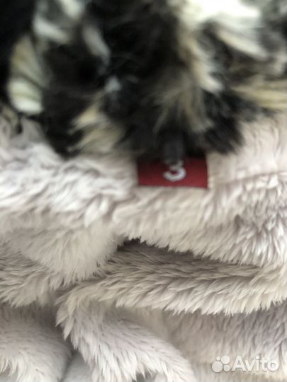 Одежда для собак мелких пород