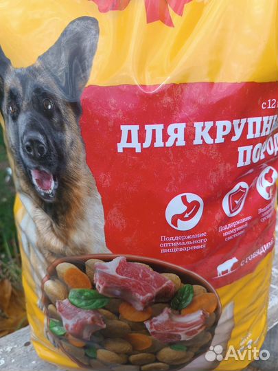 Корм для собак