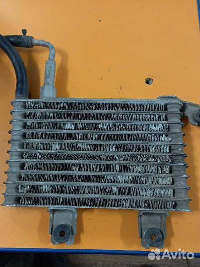 Радиатор масляный Kia Sportage 2