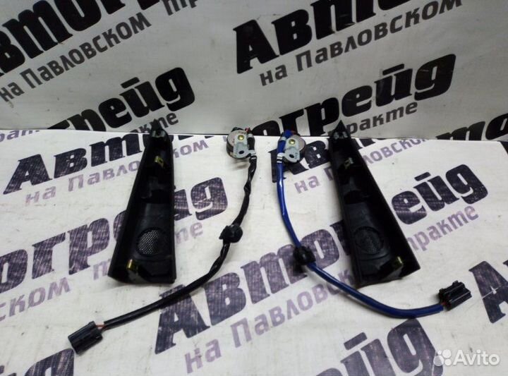 Динамик Toyota Ipsum ACM21 2AZ 2002.11