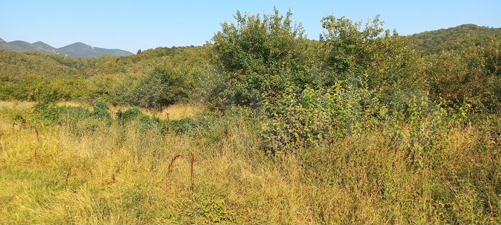 Участок 5,7 сот. (ИЖС)