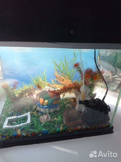 Аквариум