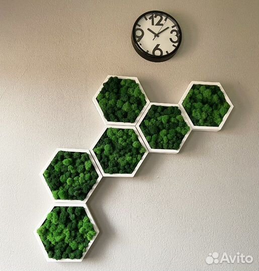 Соты со мхом. Мох ягель. Стабилизированный мох