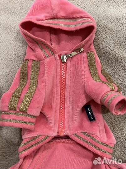 Одежда для маленьких собак Puppy angel