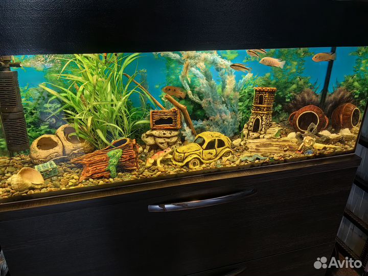 Аквариум 180 л + тумба под аквариум+декор+ рыбки