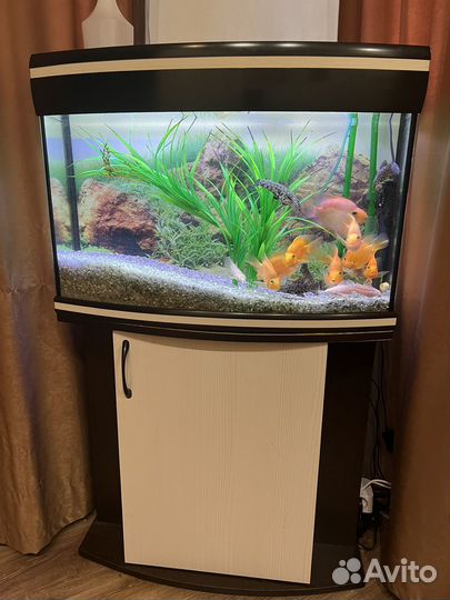 Аквариумный комплекс 125 литров
