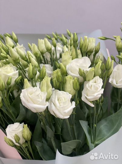 Эустома, розы оптом, цветы оптом, экзотика