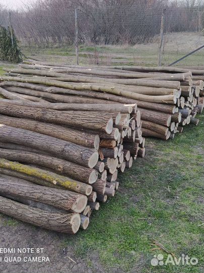 Столбики акации