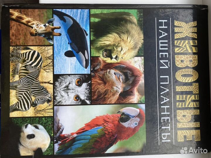 Животные нашей планеты