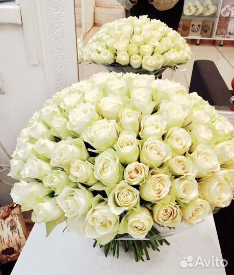 101 белая роза