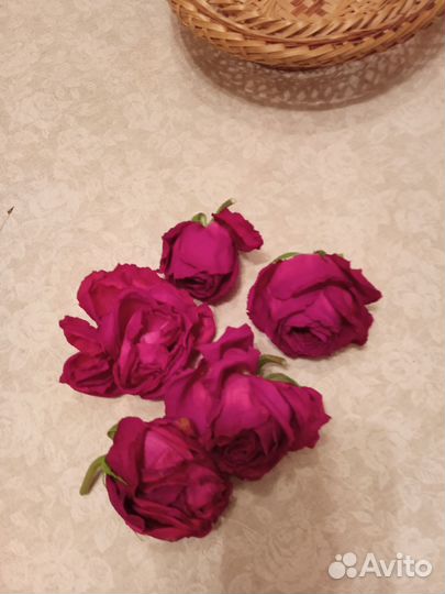 Сухие цветы розы