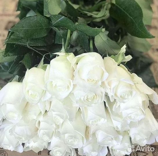 Розы Метровые 100 см доставка Москва