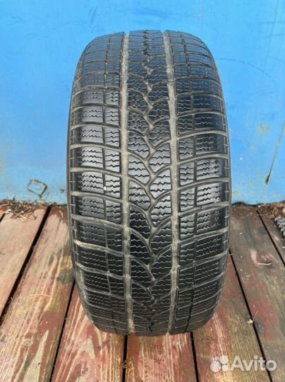 Tigar Winter 1 195/50 R15