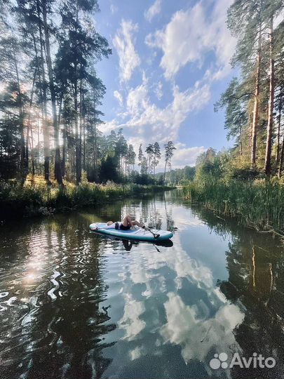 Сап в аренду