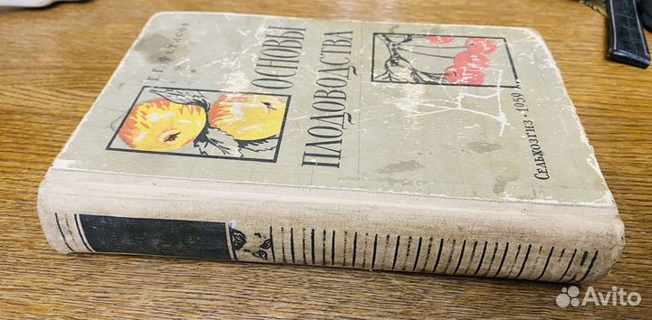 Г.Г. Фетисов Основы плодоводства 1959г