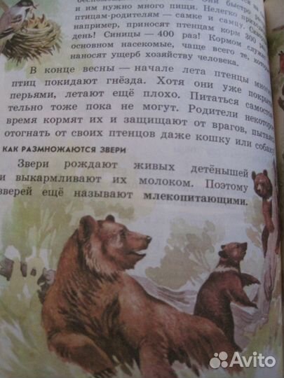 Плешаков А.А., Природоведение. Учебник для 2 кл. т