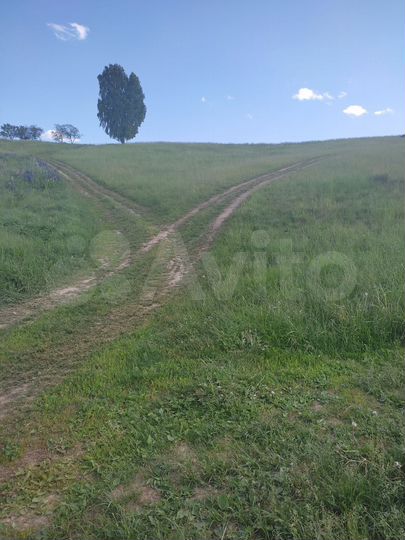 Участок 11,6 сот. (ИЖС)