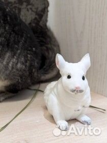 Свеча/мыло шиншилла, капибара