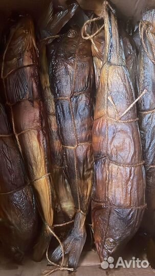 Красная рыба копченая