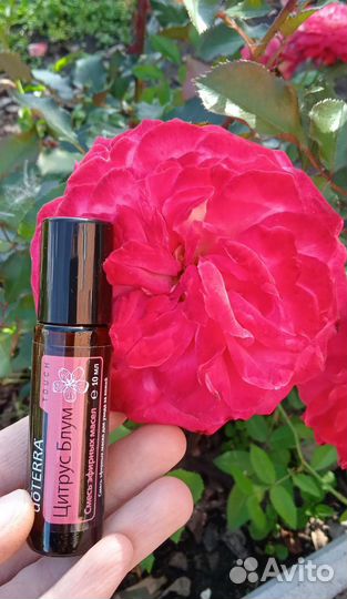Эфирное масло doTerra цитрус блум