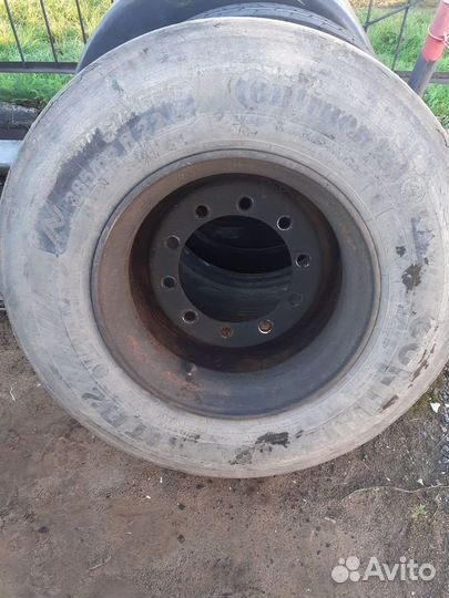 Шина 385х65х22.5