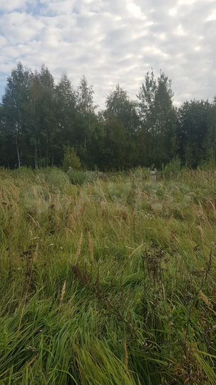 Участок 16 сот. (ИЖС)