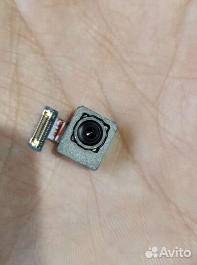 Смартфон s10e exynos разбор