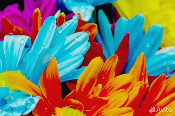 Требуется Водитель кат.В На своем авто Еда беспл