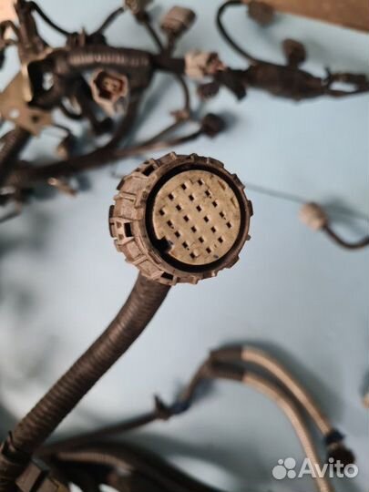 Проводка двс Nissan X-Trail T31 MR 20 2008