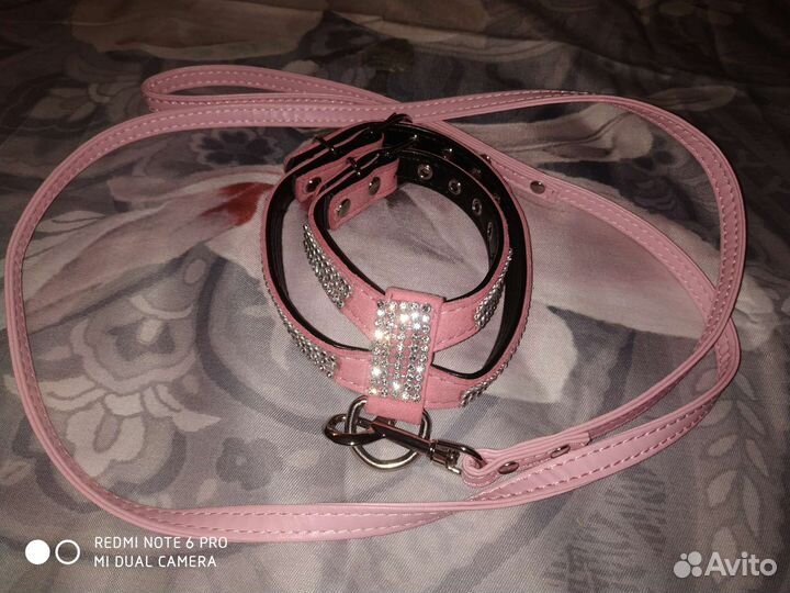 Одежда для собак