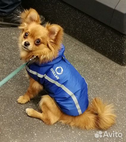 Парень согласен жениться