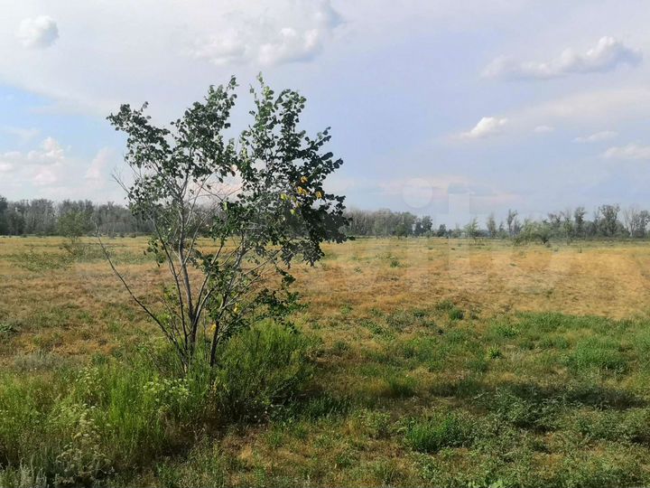 Участок 6 га (СНТ, ДНП)