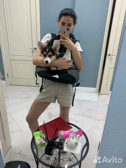 Рюкзак переноска для животных