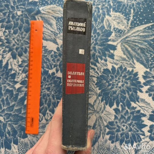 Водители, Екатерина Воронина