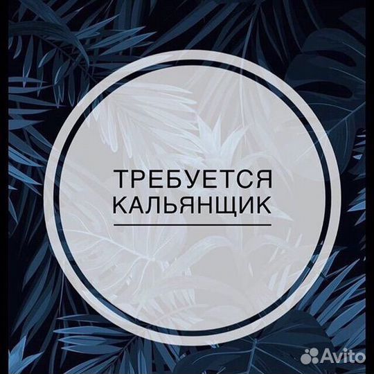 Работа кальянщик