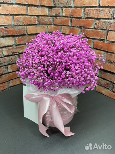 Гипсофила в коробке