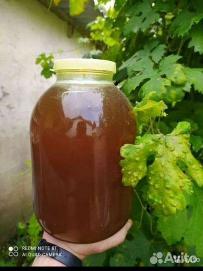 Оптом продам мёд