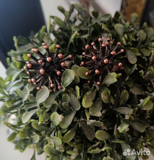 Крупные серьги ёжики