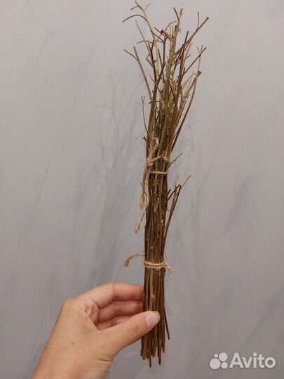 Экотовары для попугаев, грызунов