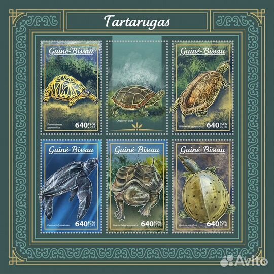 Гвинея-Биссау, 2018. (gb18004) Морская фауна, чере