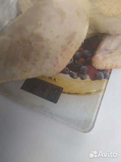 Мясо цыплят бройлер