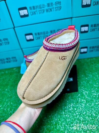 Ugg Tazz оригинал