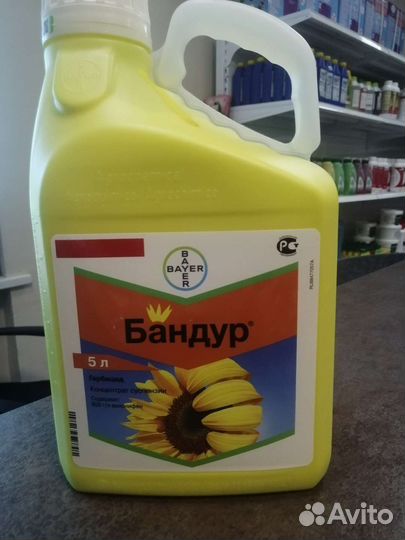 Бандур