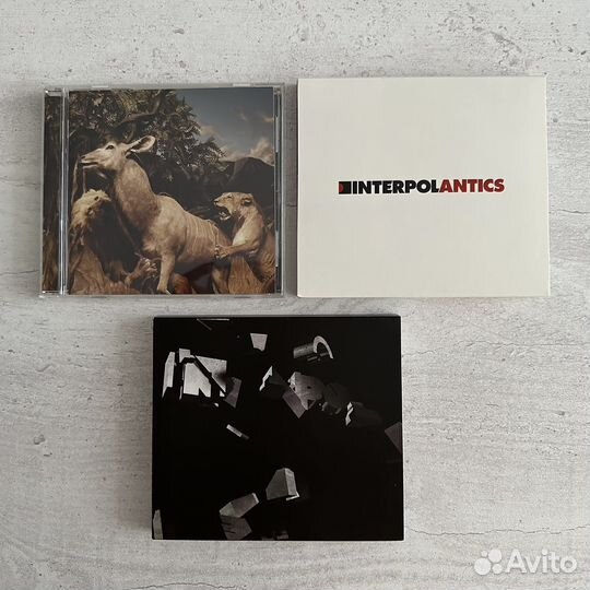 Interpol